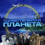 УДИВИТЕЛЬНАЯ ПЛАНЕТА 🐬