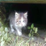 смешно же ну