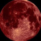 𝐄𝐋𝐈𝐓𝐄 𝐁𝐎𝐎𝐊𝐒