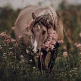 Чатик общения ♡ 🥰