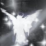 ♡ ゚・。 🕷️ mallin 🕷️ 。・゚♡