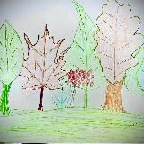 Rukodelki_ne_bezdelkii