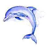 Голубые Сливки