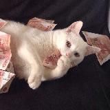 Экономия фантиков