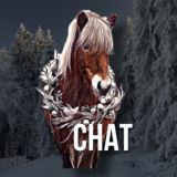 Чат с котятками🐱💕