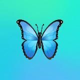 Новости Social Graph