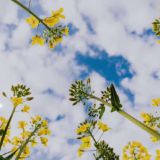 Разговоры с облаками