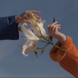 •sᴏᴢᴠᴇᴢᴅɪᴇ•