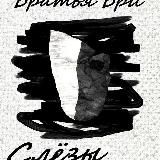 Слёзы Шороша (книга первая)