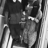 𝙰𝚛𝚊𝚋𝚒𝚢𝚎𝚖 ❤️😽