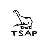 Чат TSAP
