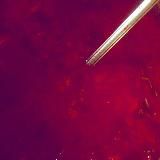 #живописьборщом