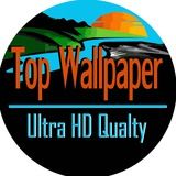 𝕋𝕠𝕡 𝕎𝕒𝕝𝕝𝕡𝕒𝕡𝕖𝕣