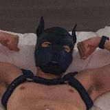 Coyote-Deer Posting 🔞🔥