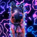 💙💛 Вінницький НіМчАр🇺🇦