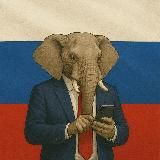Наши слоны