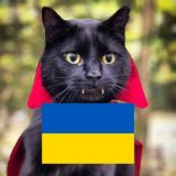 Кот 🐈 Степана Андреевича