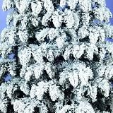 Ёлки Дропшипинг