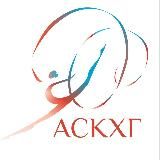 Художественная Гимнастика. Клубная Лига