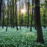 переходник Weseнний Les