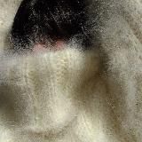 hauru no ugoku shiro