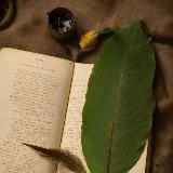 Вечная классика 🪶