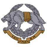 Политмен Обсуждение Chat