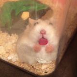 РУЛЕТКА ПРОФИЛЬНАЯ МАТЕМАТИКА УМСКУЛ