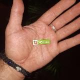 ЯБЛОЧНЫЙ СПАС