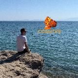 Субъективный Швык