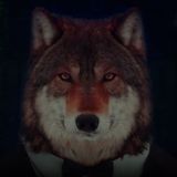 🆅🅿🅽 🆃🅹🅺