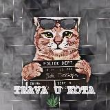 Трава у Кота 😻(отзывы)