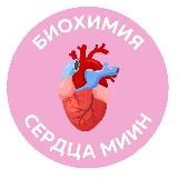 БИОХИМИЯ СЕРДЦА | 9-11 августа