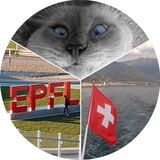 Профессорские Мюсли | Наука и Жизнь