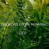 ДИОКСИД ХЛОРА ClO₂. АЛЬГИЦИД АКВА-ШОК ДЛЯ ДЕЗИНФЕКЦИИ ВОДЫ БАССЕЙНе SPA ДАЧА ГИДРОПОНИКА