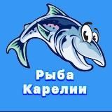 Рыбная Лавка