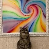 Федерация Счастья️