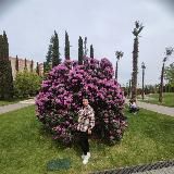 Заработок онлайн💸Без ВЛОЖЕНИЙ💯