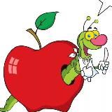 Качество Самбери