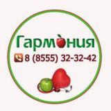 ЛДЦ "Гармония" группа