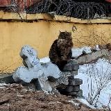 Кобоша: песнь акына 18+