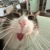 кмс по рыбалке (общий сбор)