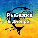 Рибалка у Дніпрі та області 📸 Рыбалка в Днепре и области