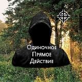 Одиночное Прямое Действие