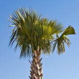 Вакансии в Майами | Jobs in Miami