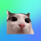 флудилка 🏋️♂️