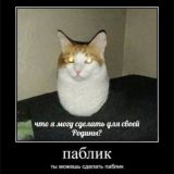 комменты к каналу с мемами