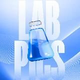 Команда Лабпикс