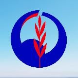 Зимний марафон «Дорога жизни»