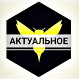 Актуальное